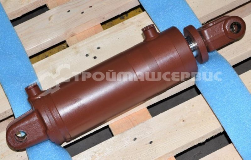 Гидроцилиндр рабочего органа ЦГ-100.50х200.01-01